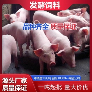 发酵饲料厂家