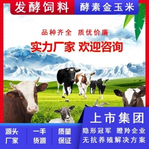 酵素玉米